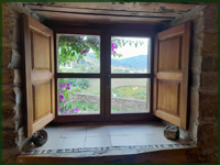 new window