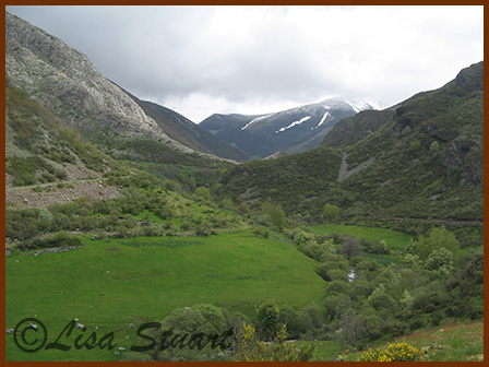 valle naranco